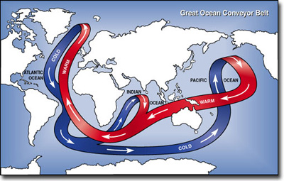 Global Conveyor Belt