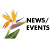 News/Events